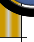 GLOBOSOFT (GSS) LOGO